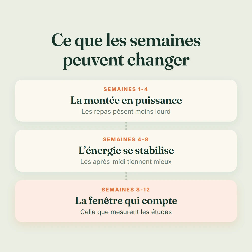 Ce que les semaines peuvent changer, de la semaine 1 à la semaine 12